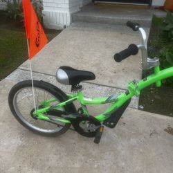 Wee Ride Co-Pilot Bike Trailer 