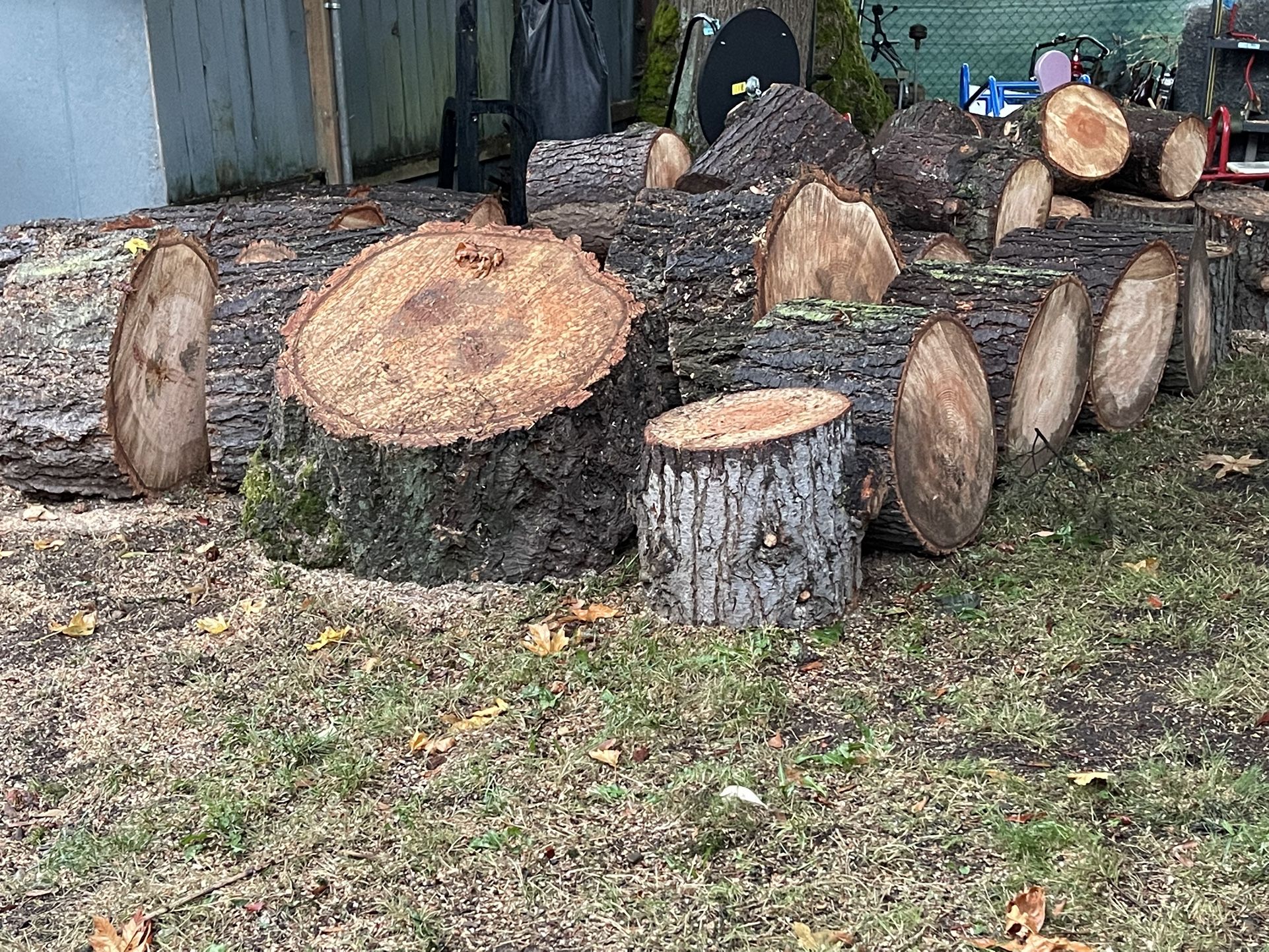 Free Firewood Rounds