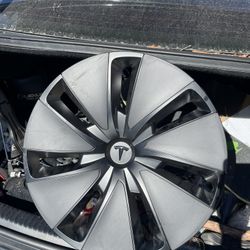 Tesla Model 3 Hub Cap