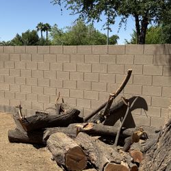 FREE MESQUITE TRUNKS