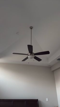 Fan for sell