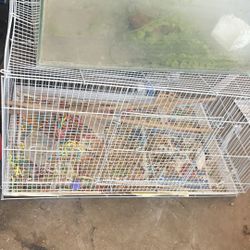 Bird Cages