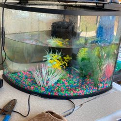 Corner Fish Tank