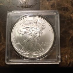2009 American Silver Eagle Dollar Coin
