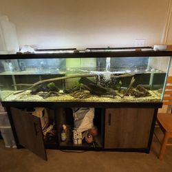 125 Gallon Fish Tank And Stand