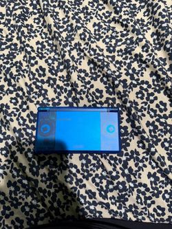 DS Lite