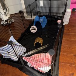 Guinea pigs cage animal cage