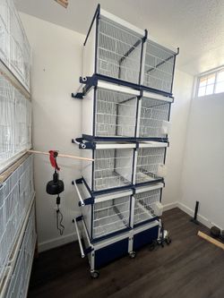 Italgabbie Cages