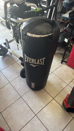 Everlast Punching Bag Like New MMA