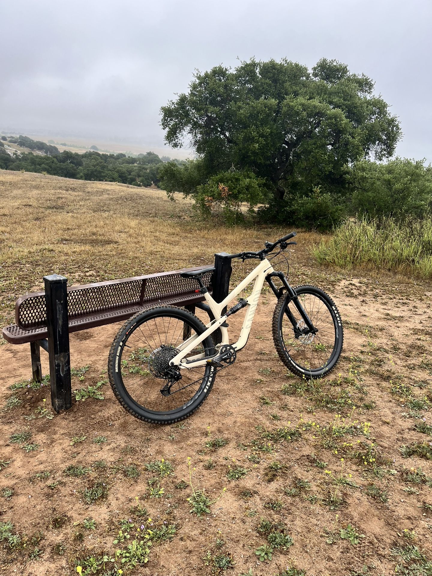2023 Canyon Mountain Bike 29er Large Frame for Sale in Ramona, CA - OfferUp