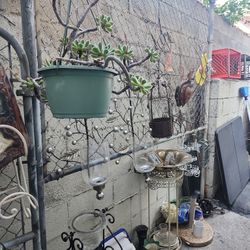 Everything For Sale Different Pots And Plant Stands Different Plants 