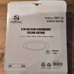 ENERGETIC LIGHTING 9 In LED Slim Flushmount Ceiling Fixture