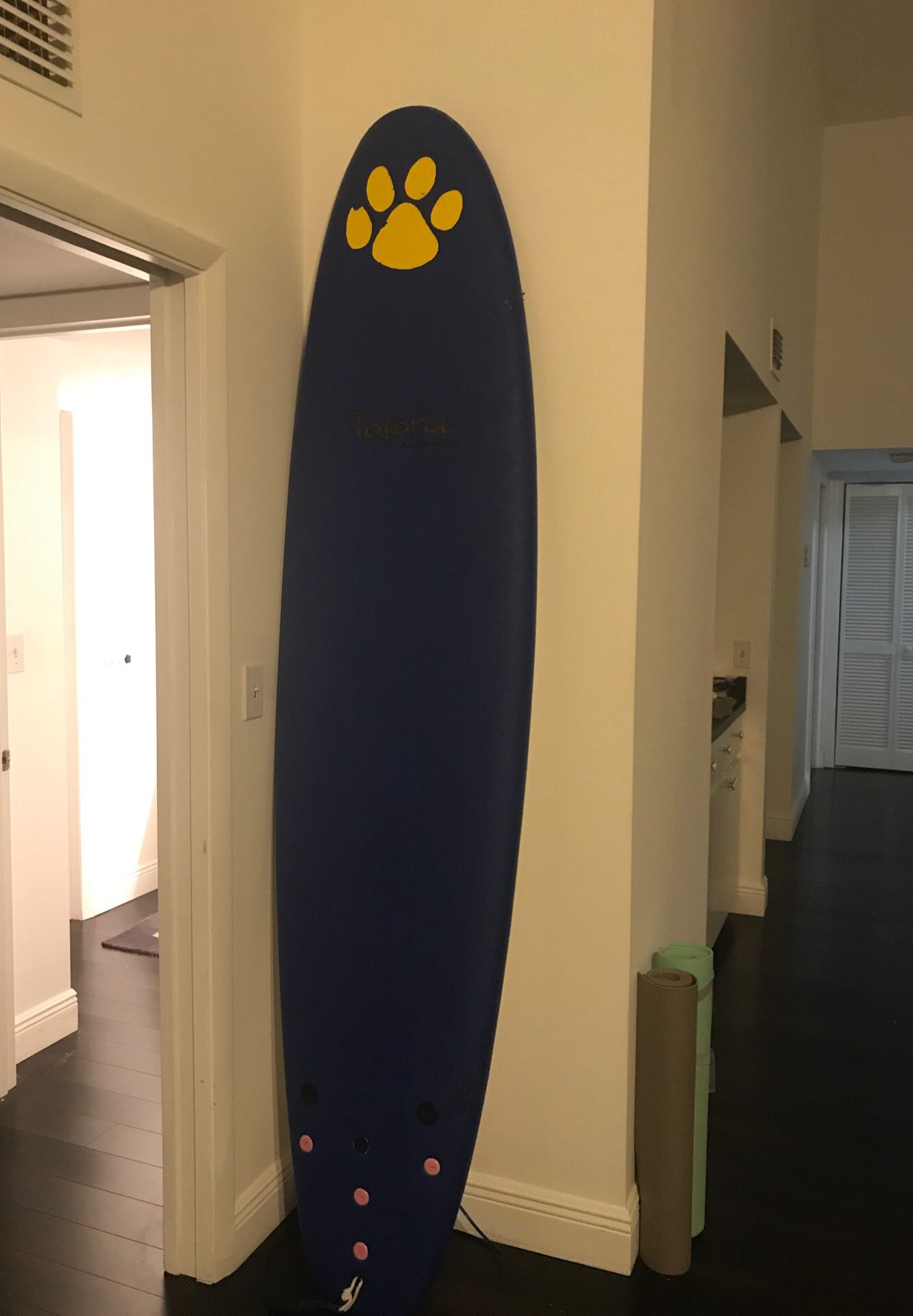 Surfboard Totora 8’