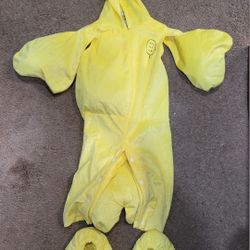 Peanuts Woodstock  Costume 