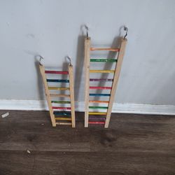 Bird Ladders 