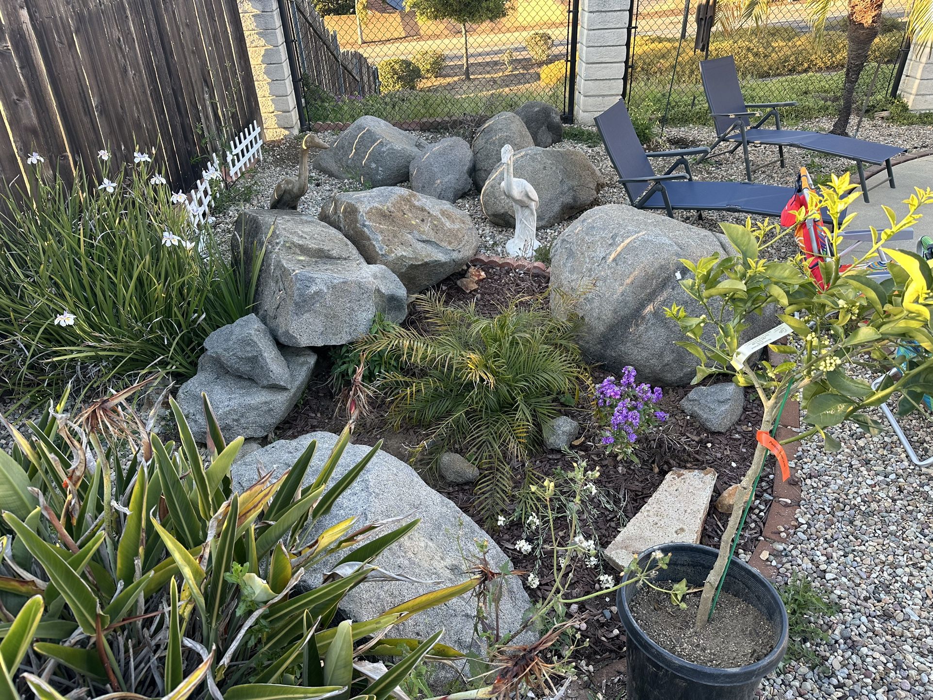 Landscape Rocks/Boulderz