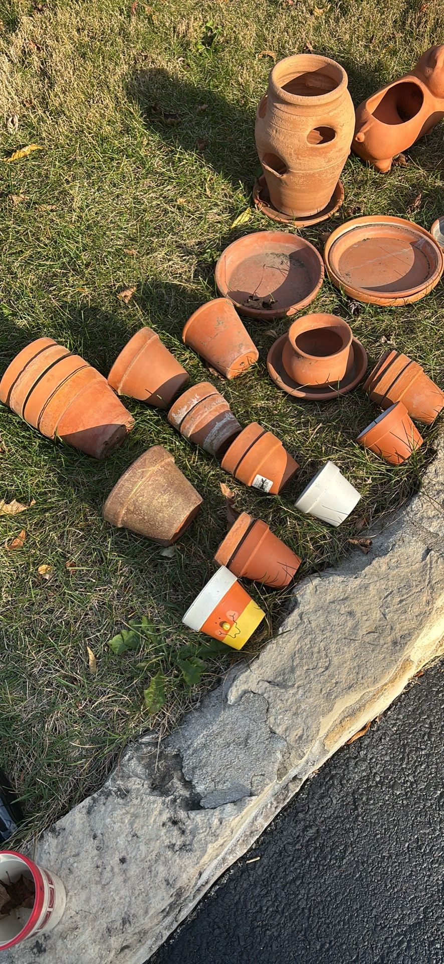 Lot Of Terracotta Planters, Moving Sale