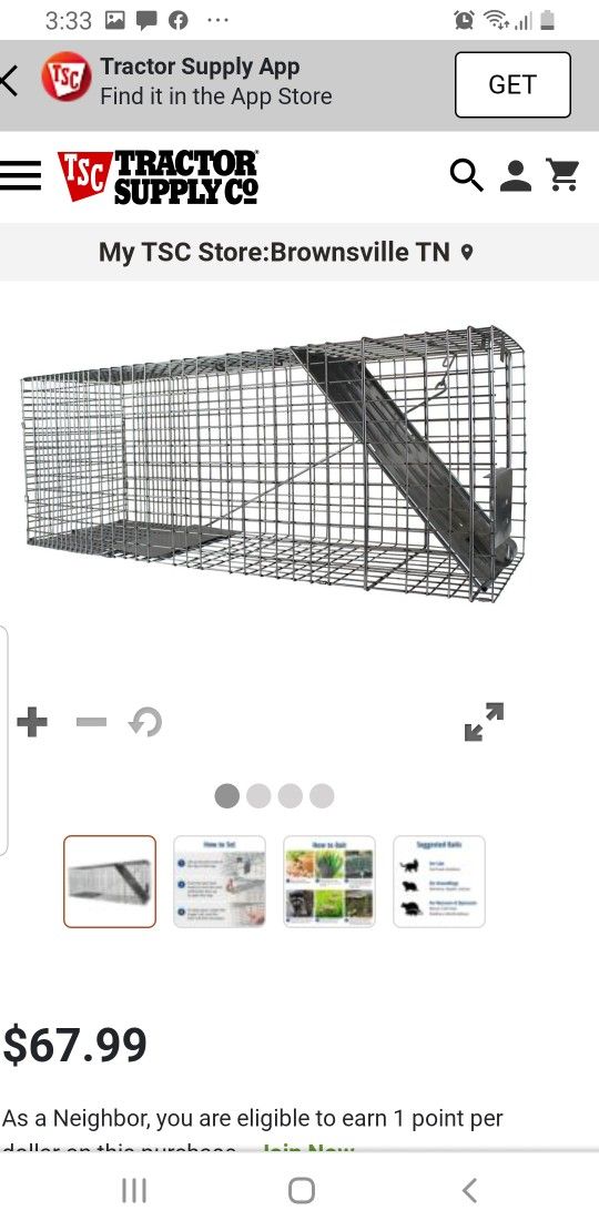 Animal Trap Cages