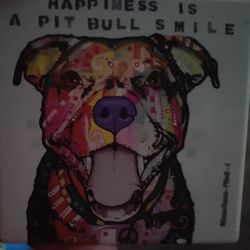PIT Bull Hand painted by Dean Russo Beautiful Coaster new