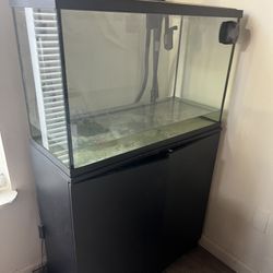 Fish tank, stand,  filter, and cleaning tools