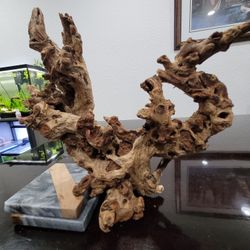 Large Aquarium Fish Reptile Driftwood