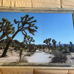 Joshua Tree Landscape Large Framed Photo Art Print