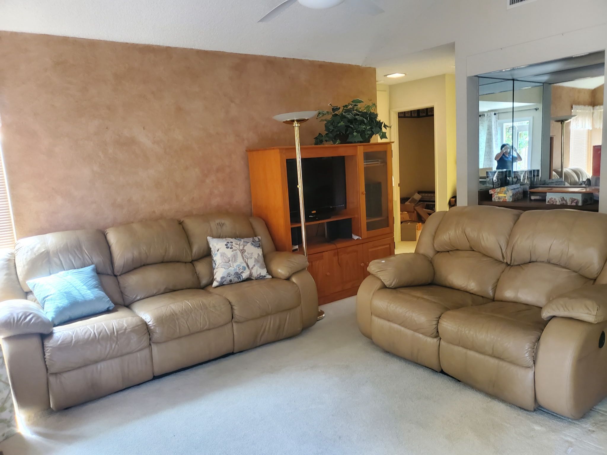 Leather Couches
