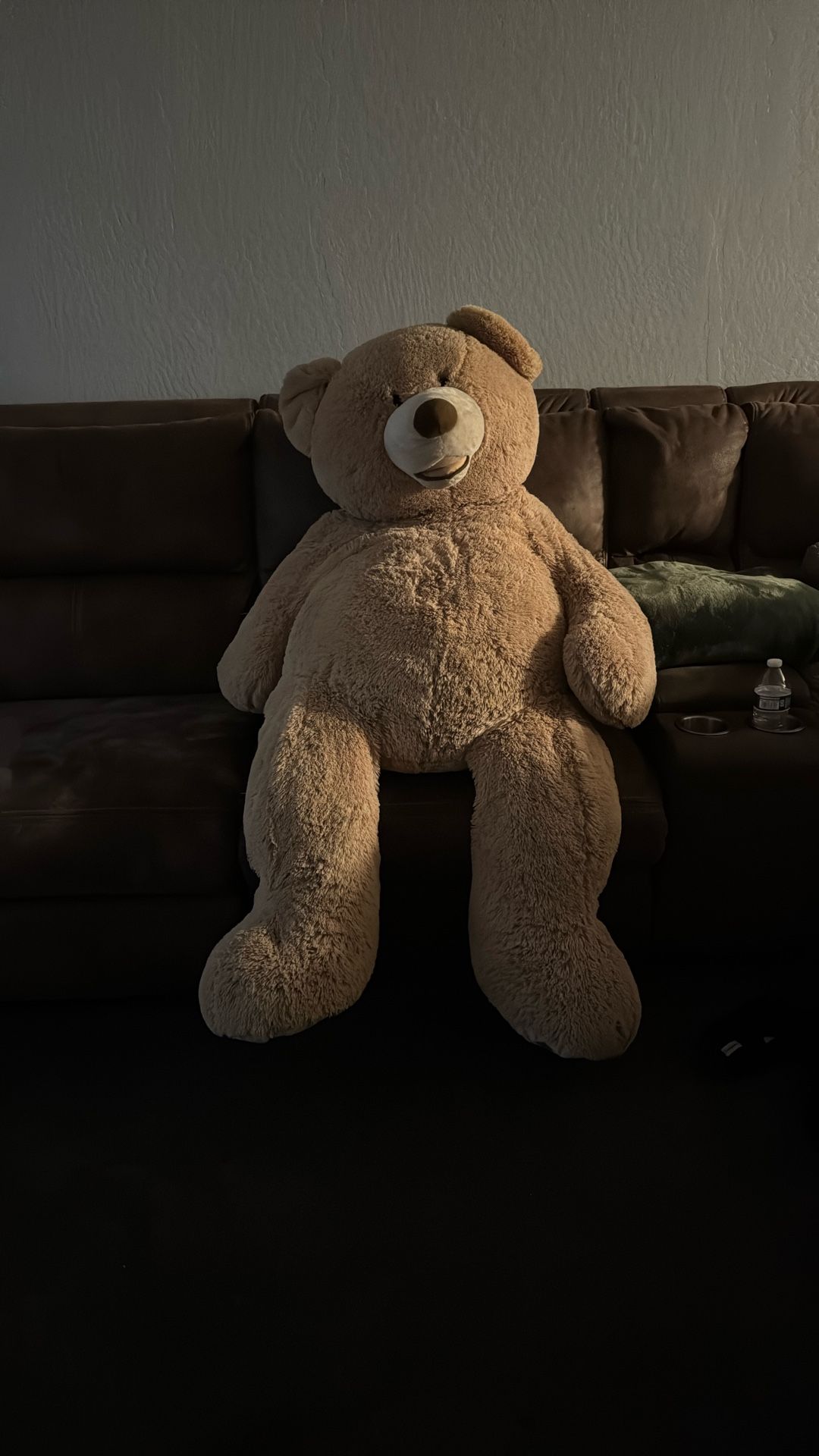 Full Size Teddy Bear