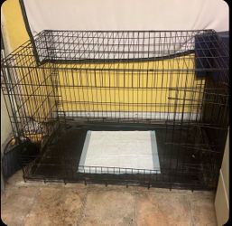 Large dog kennel