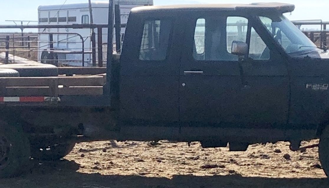 1994 7.3l Powerstroke 4x4 5spd Manual