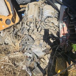 Nissan Maxima Motor An Trans