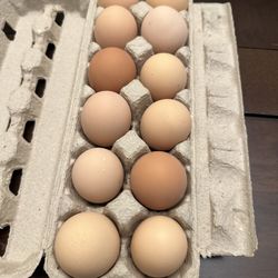 Eggs, Fresh Local Raised Grade AA