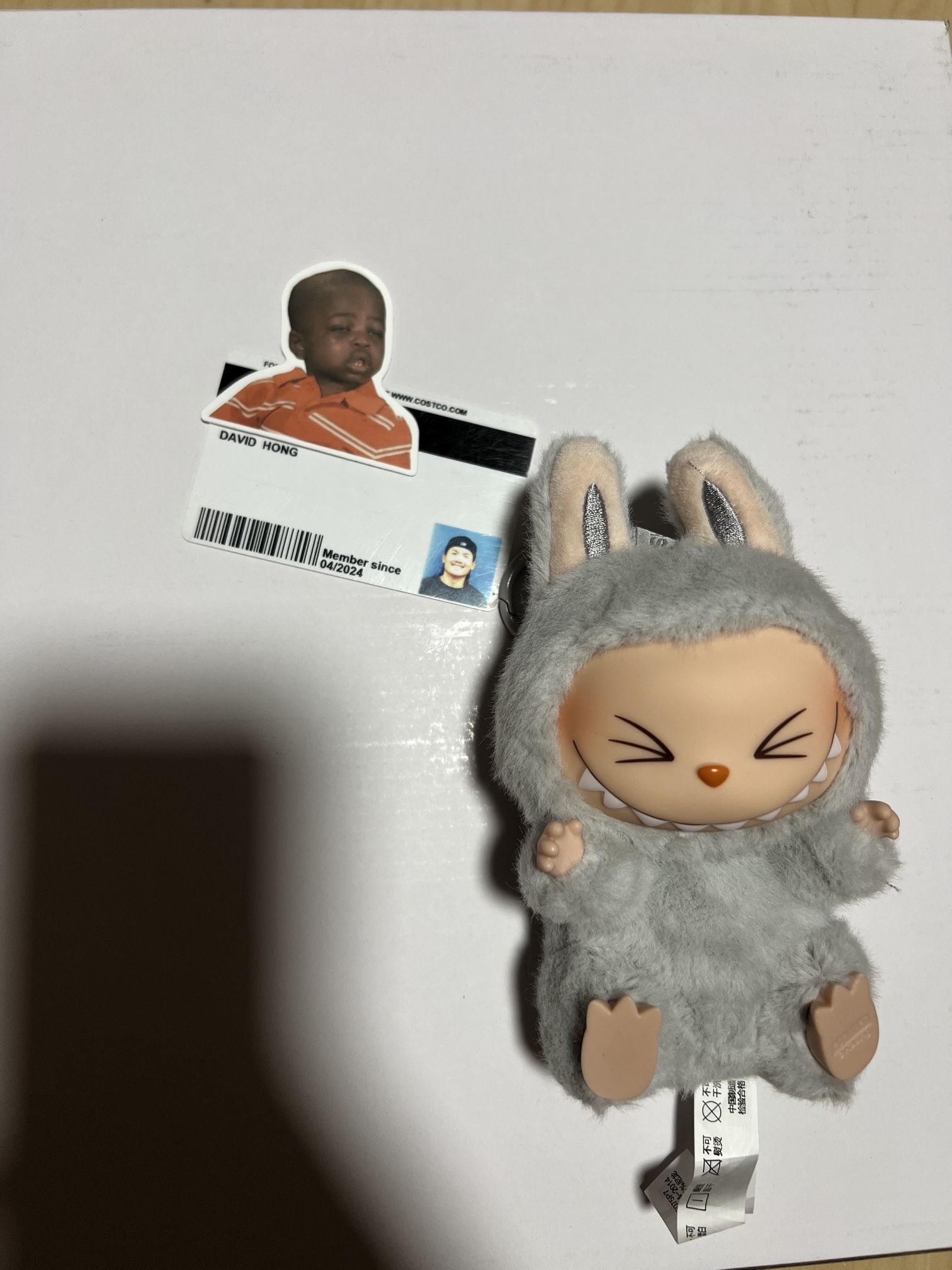 Labubu Authentic