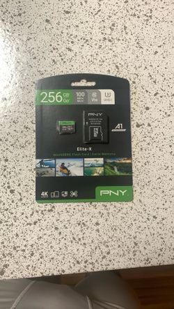 Pny 256 GB Elite-X MicroSDXC card