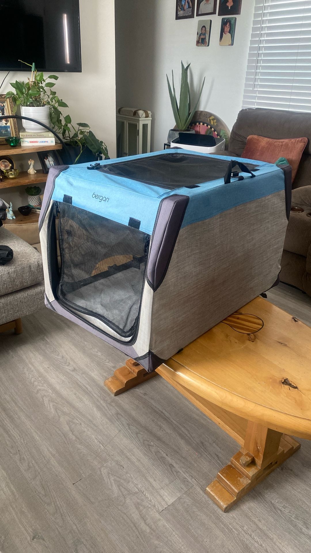 Doggie Collapsible Dog Crate