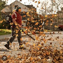 BLOWING of LEAVES 🍁 🍃 🍂 & CLEAN-ups