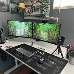 Two Gaming Monitors With Desk Mount 