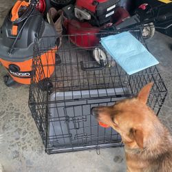 Small Dog Crate