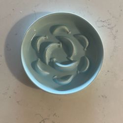 Cat Slow Feeder Bowl