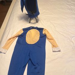 4T Sonic Costume 