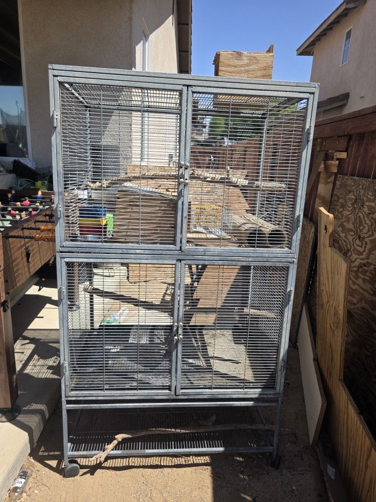 Bird Cage