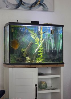 Large Glass Aquarium Fish Tank with Light