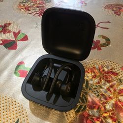 Bose Powerbeats Pro