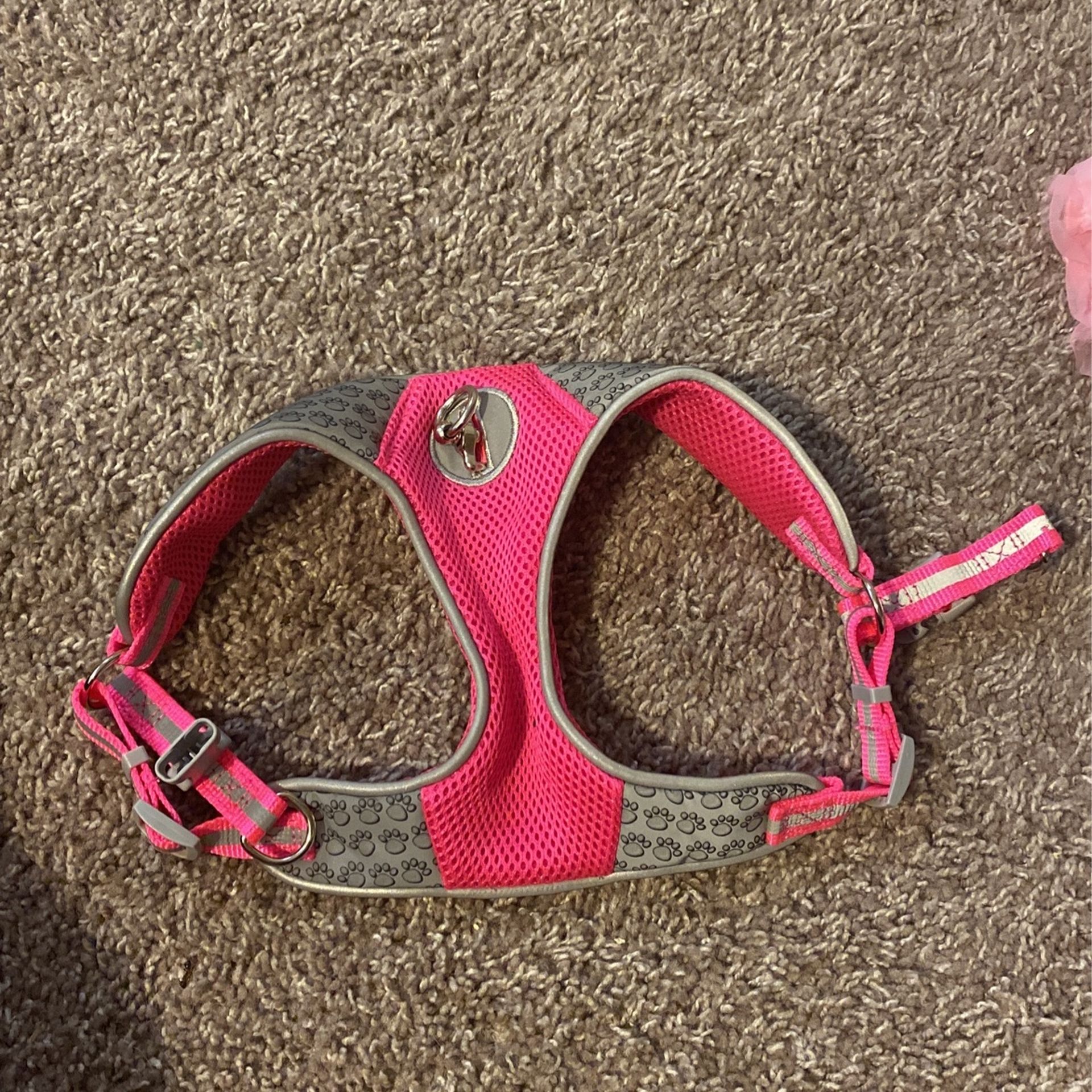 Dog Harness