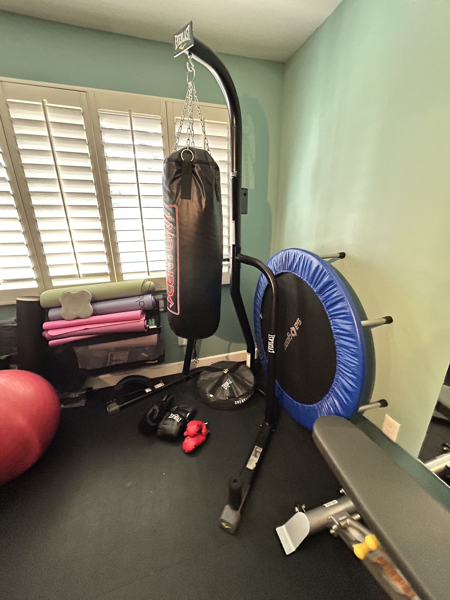 Punching Bag w/ gloves