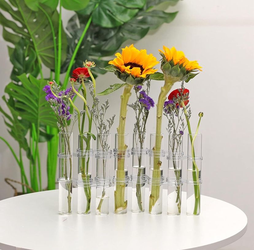 16 Test Tube Vase Glass Test Tube Plant propagating with Hooks