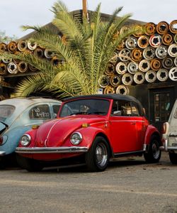 '70 Convertible Beetle