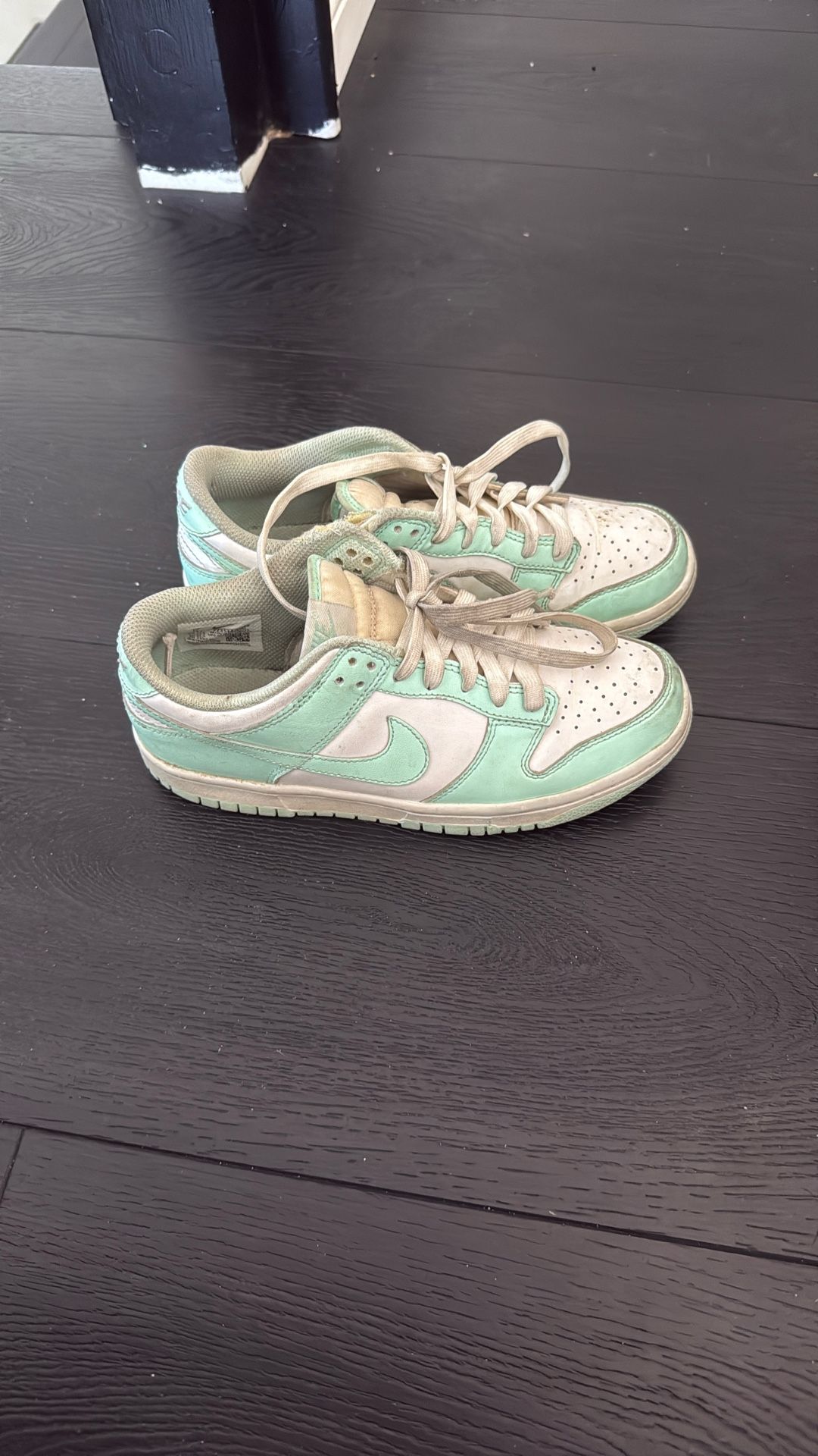 Kids Dunks