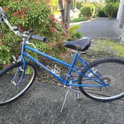 Schwinn Mirada 