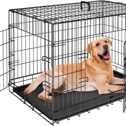 36" Inch Dog Crate Double Door Folding Metal Dog or Pet Crate Kennel with Tray and Handle